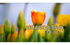 2010-05-16 교회는 그리스도의 몸입니다
