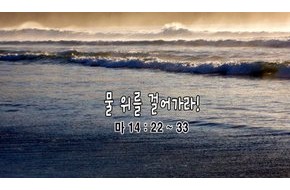 2010-09-05 물 위를 걸어가라
