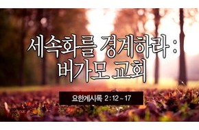 2013-11-10 세속화를 경계하라: 버가모 교회