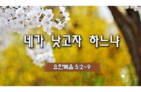 2014-04-09 네가 낫고자 하느냐