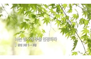 2016-06-08 너는 범사에 주를 인정하라