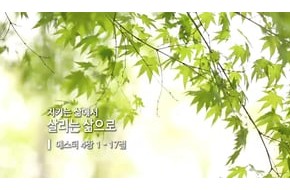 2016-06-29 지키는 삶에서 살리는 삶으로