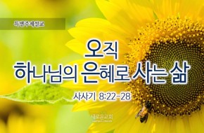 2016-07-31 오직 하나님의 은혜로 사는 삶