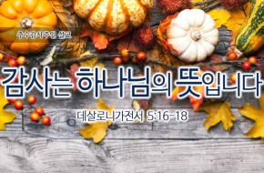 2016-11-20 감사는 하나님의 뜻입니다