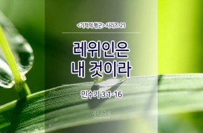 2017-06-04 레위인은 내 것이라