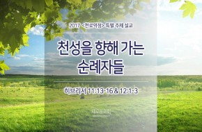 2017-07-02 천성을 향해 가는 순례자들