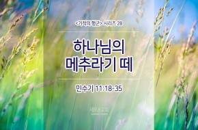 2017-08-27 하나님의 메추라기 떼