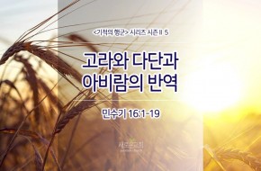 2017-10-29  고라와 다단과 아비람의 반역