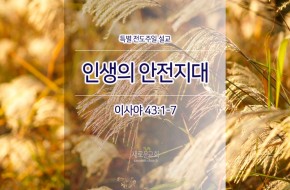 2017-11-12  인생의 안전지대