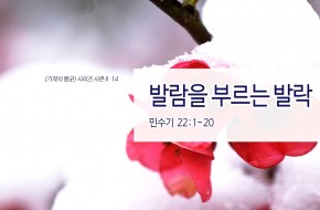 2018-01-28 발람을 부르는 발락