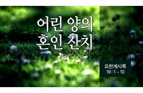 2014-06-01 어린 양의 혼인 잔치