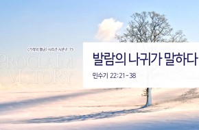 2018-02-04 발람의 나귀가 말하다