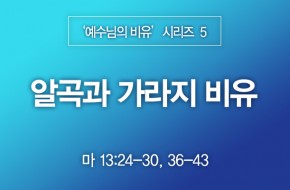 2022-11-13 알곡과 가라지 비유