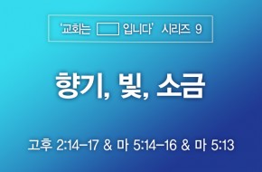 2023-03-05 향기, 빛, 소금