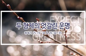 2019-03-03 두 형제의 엇갈린 운명