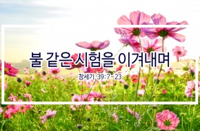 2019-09-29 불 같은 시험을 이겨내며