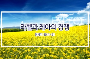 2019-04-14 라헬과 레아의 경쟁