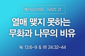 2023-05-21 열매 맺지 못하는 무화과 나무의 비유