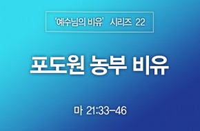 2023-05-28 포도원 농부 비유