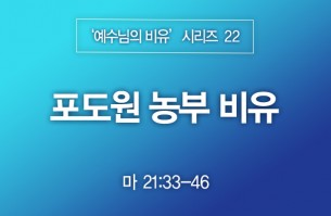 2023-05-28 포도원 농부 비유