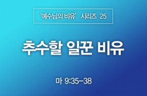 2023-06-18 추수할 일꾼 비유