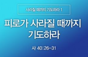 2025-01-05 피로가 사라질 때까지 기도하라