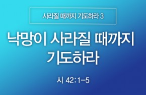 2025-01-19 낙망이 사라질 때까지 기도하라