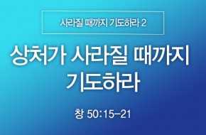 2025-01-12 상처가 사라질 때까지 기도하라