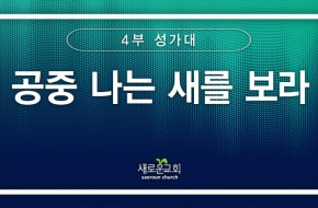 [특순영상] 공중 나는 새를 보라 | 4부성가대 | 2025.03.16