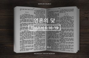 2026-01-21 영혼의 닻 (김선교 목사)