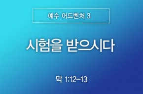2026-07-26 시험을 받으시다