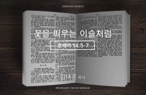 2026-07-22 꽃을 피우는 이슬처럼 (김대훈 목사)